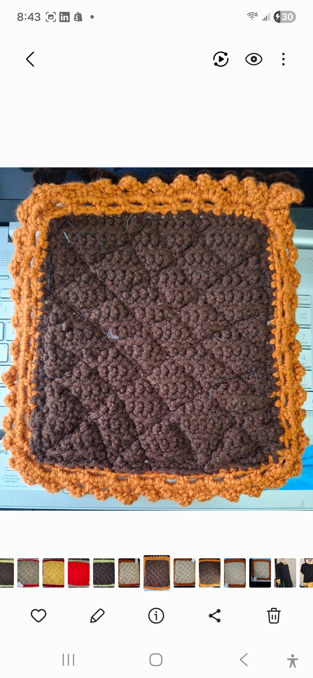 Household>Kitchen Potholder (Crochet)