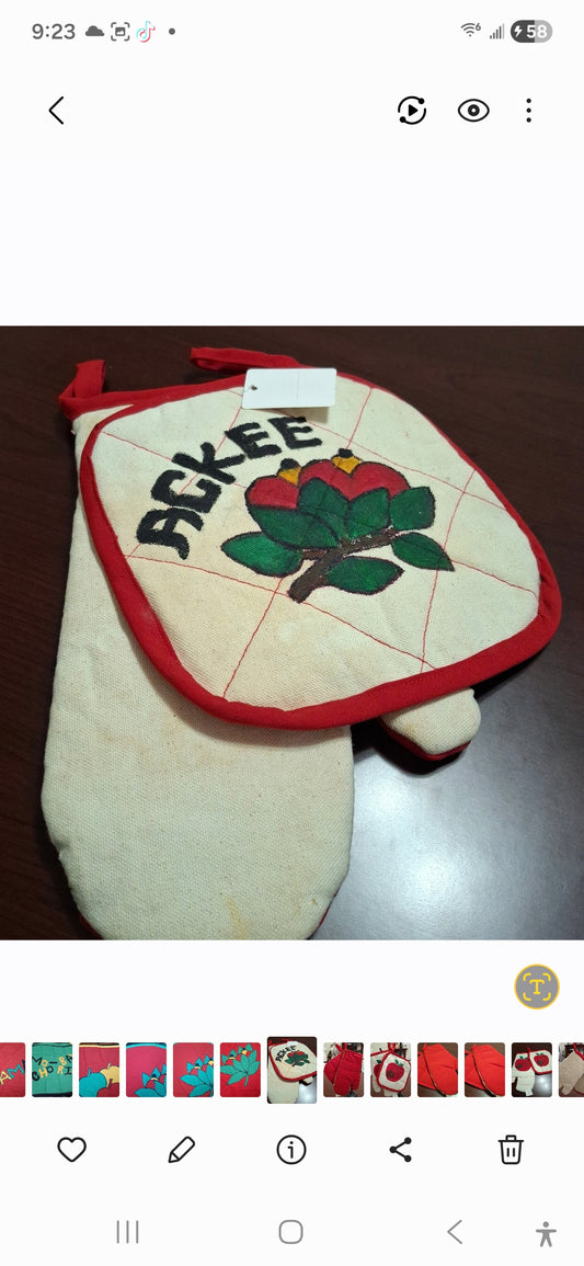 Household>Kitchen                          Potholder & Mitt Set (Fabric)